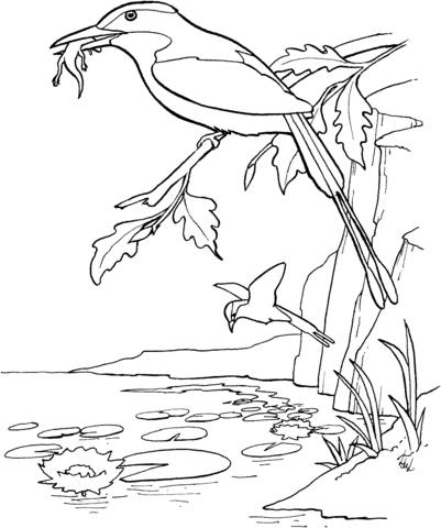 Pink Breasted Kingfisher Coloring Page